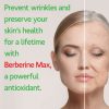Berberine Protects From Aging and Oxidation